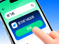 步骤三：找到官方纸飞机应用并点击获取下载按钮